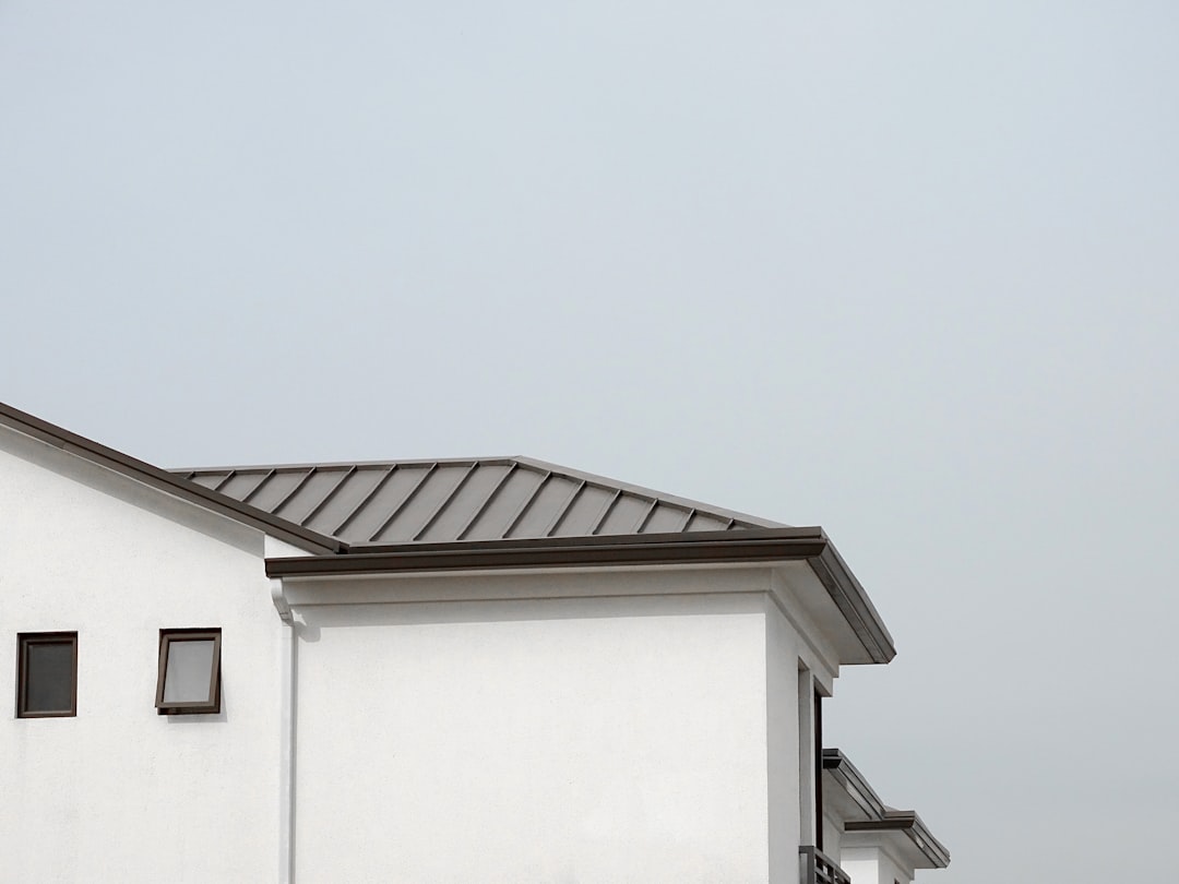 Gray Metal Sloped Roof Building a white building with a black roof