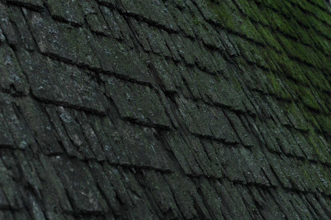 a close up of a roof with moss growing on it
