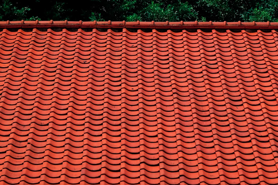 Red Curved-Tile Roof brown roof tiles near green trees during daytime