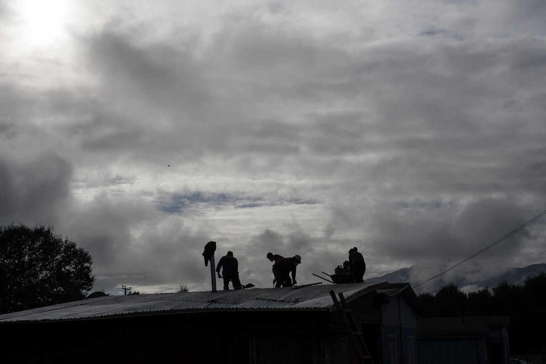 Silhouetted figures work on a rooftop under cloudy skies.