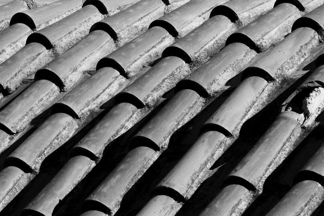 Close-up of weathered terracotta roof tiles
