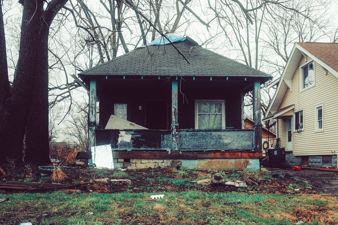An abandoned house stands amid overgrown foliage.