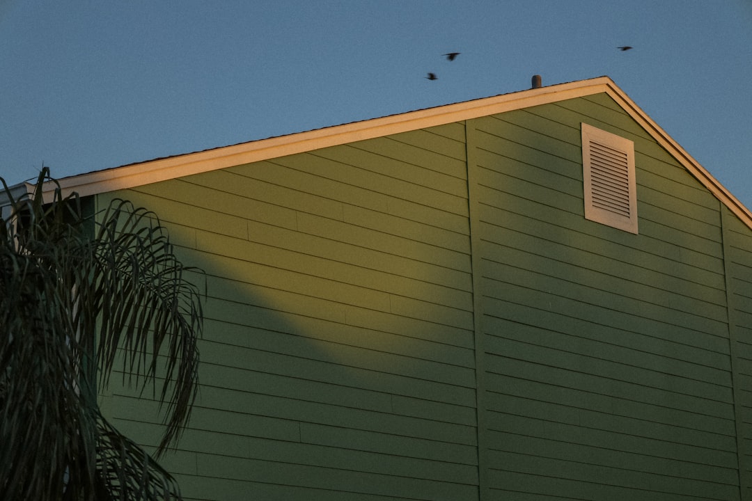 Green Building with Birds a green house with a bird flying over it