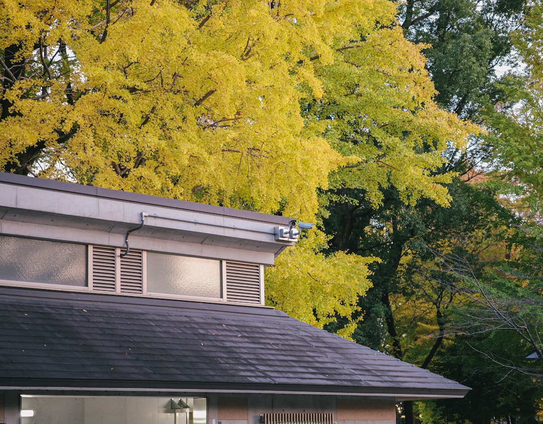 Modern Building Roof Building roof with yellow autumn trees in background