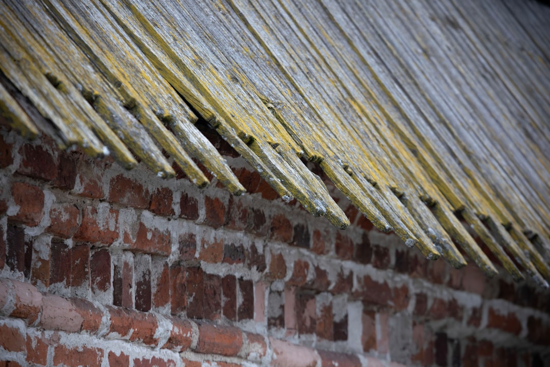Close-up of a thatched roof on a brick wall.
