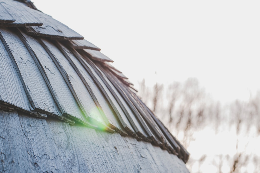 Curved Roof With Wooden Shingles a close-up of a grass