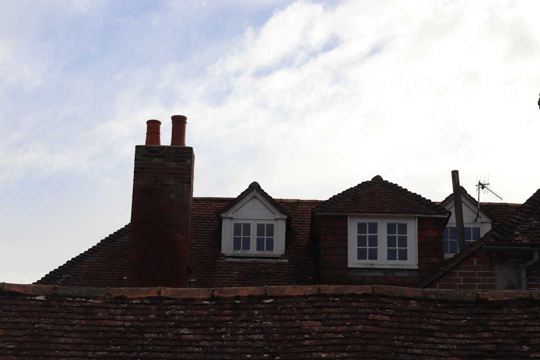 Rooftops with dormer windows and chimneys
