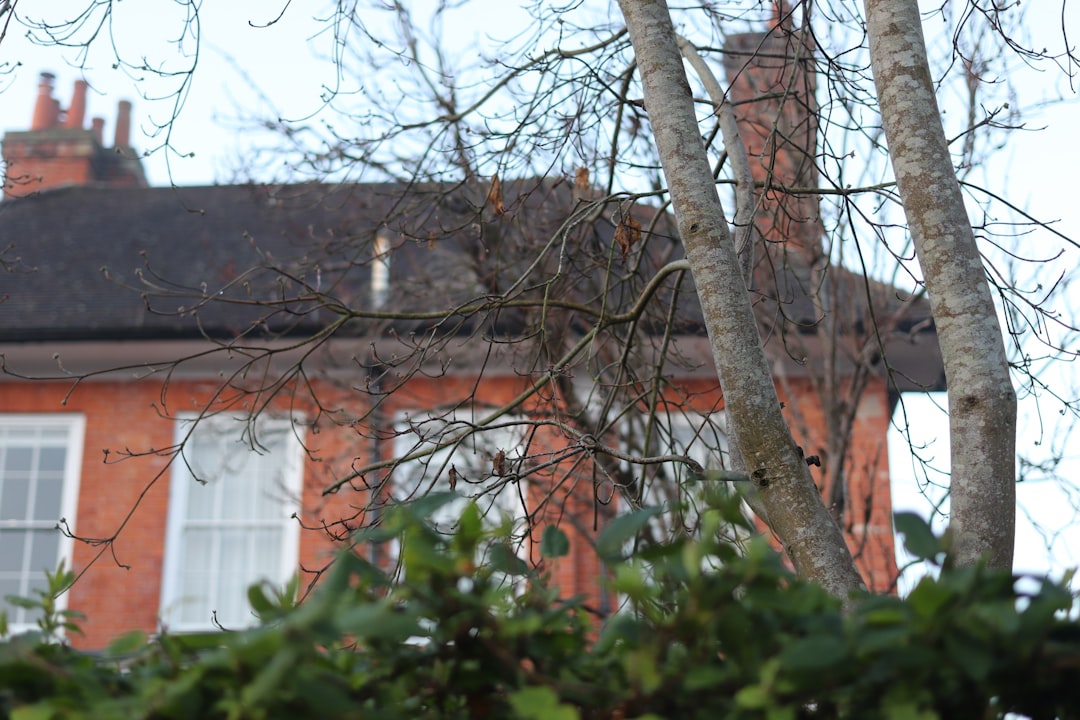 Red brick house with white windows and chimneys.