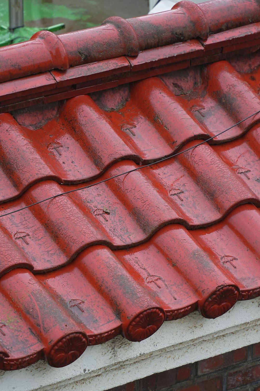 Red roof tiles are wet from the rain.
