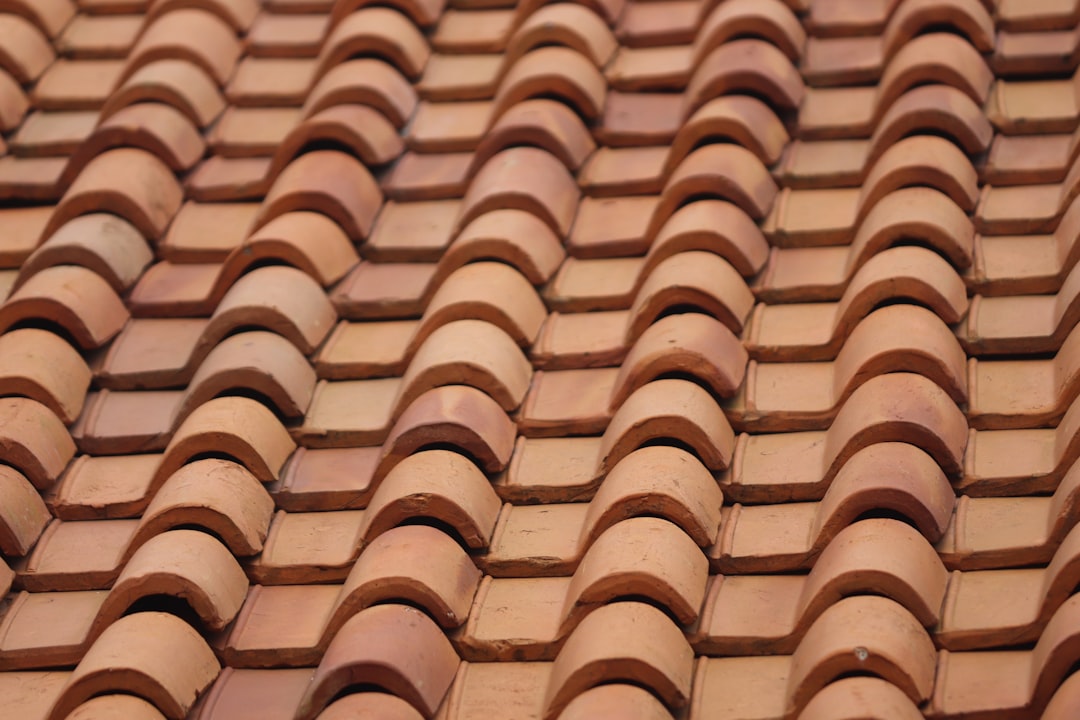 Terracotta Roof Tiles brown and white roof tiles
