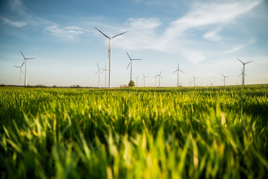 030a024319ce41ae9d06a21e78d7ded4 a field of green grass with wind turbines in the background