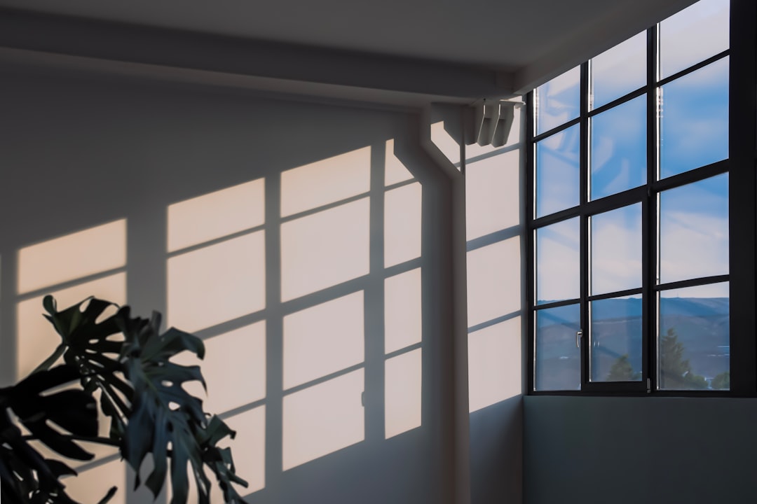 1ce2970b5a0945778161ec5ce54c538c A monstera plant casting shadows from a window onto a white wall