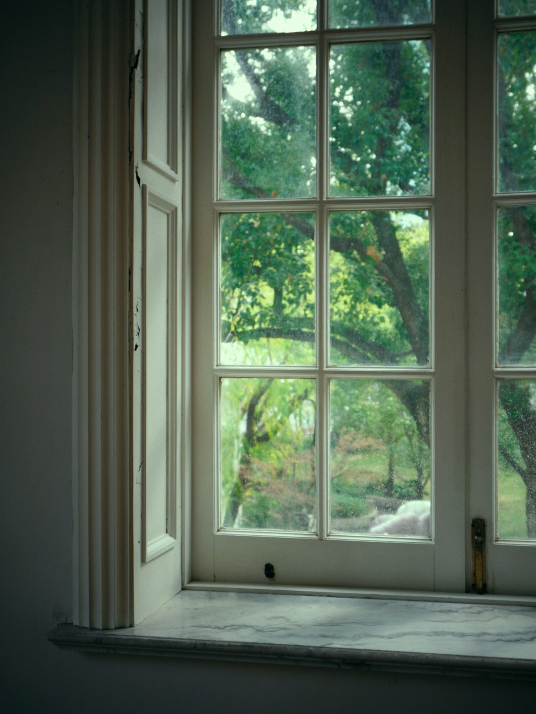 A window with a view of a tree outside