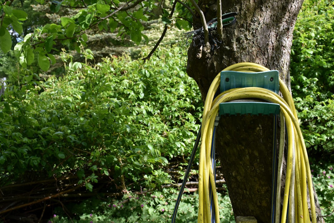 2a8c690877d74f4c9d1e2de7b931d746 Yellow garden hose coiled on a tree bracket