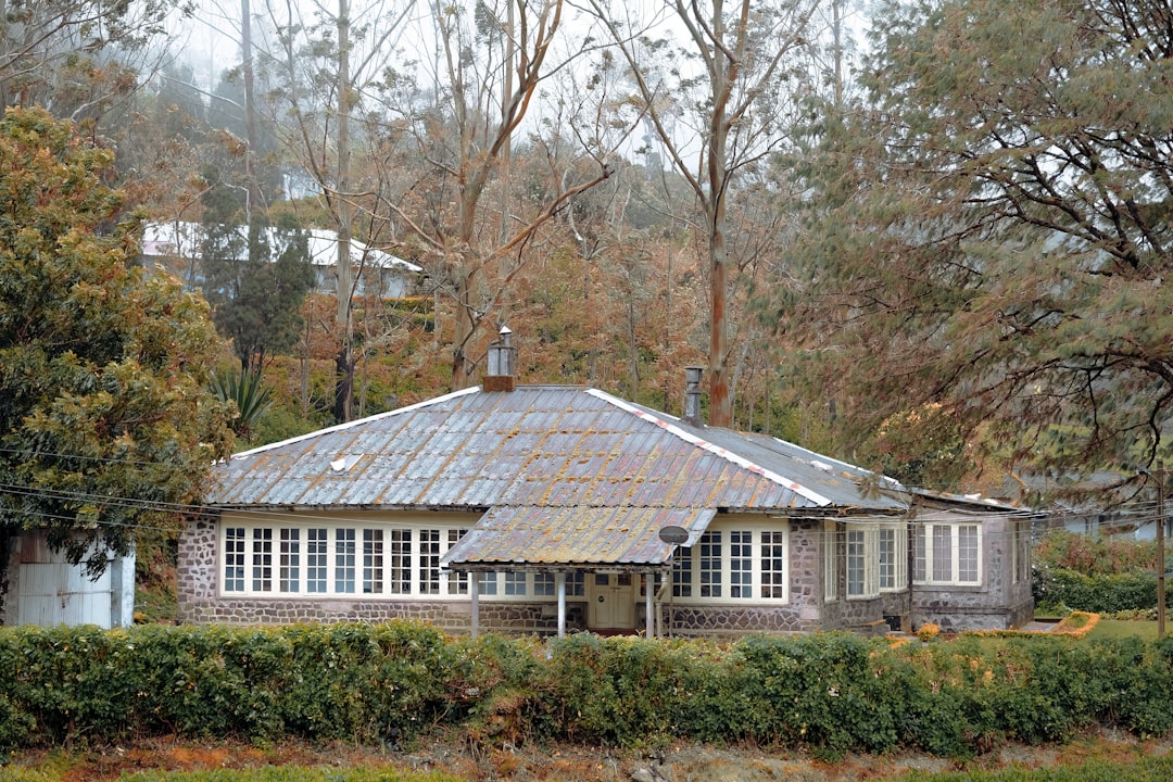a house with a large roof