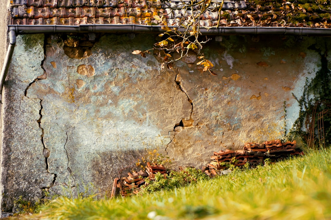 Cracked plaster wall of an old building with overgrown grass.
