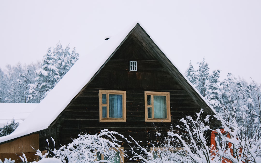 49a8401935ea486eb6feac91c7315370 brown wooden house covered with snow