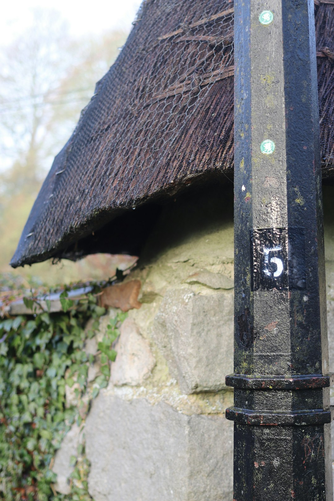 4d5dc79efeb547f986aae1db33427101 A black lamppost with the number five on it.