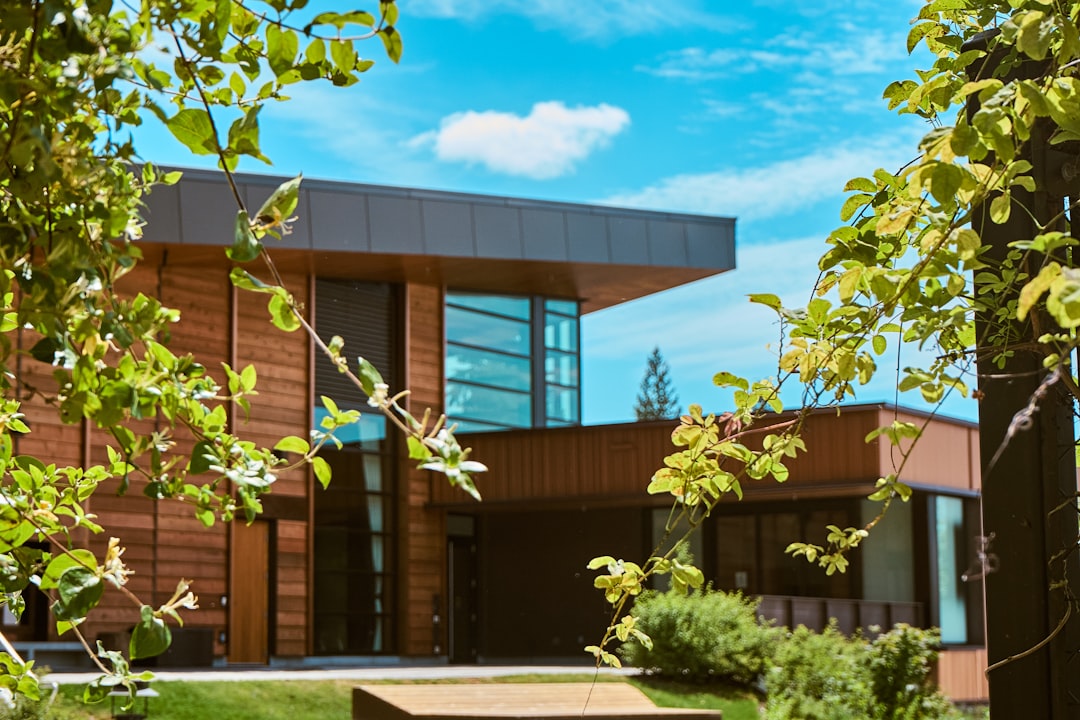 Modern wooden house framed by green leaves under blue sky.