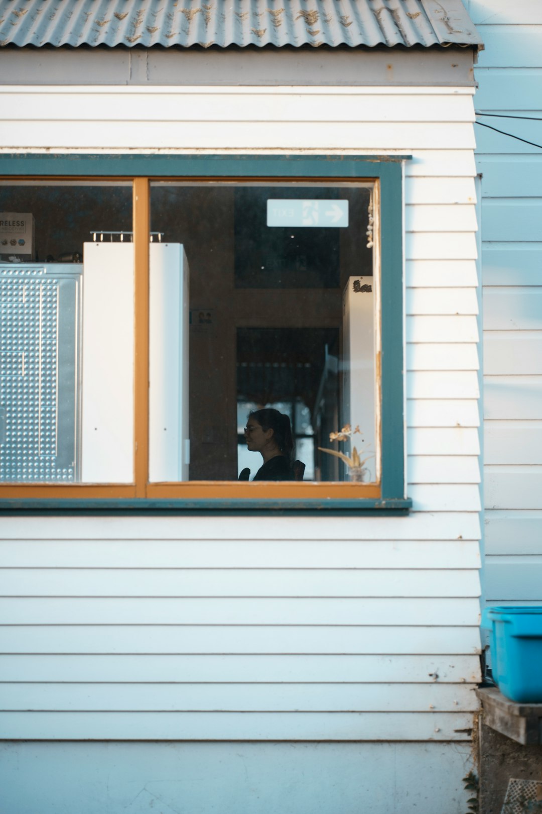 A person with dark hair tied back looking out of a window in a room