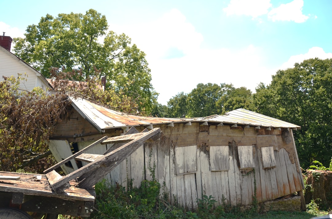 786b6e20558d4121bc081f57ac28314c A collapsed wooden shed with a rusted roof and a fallen tree