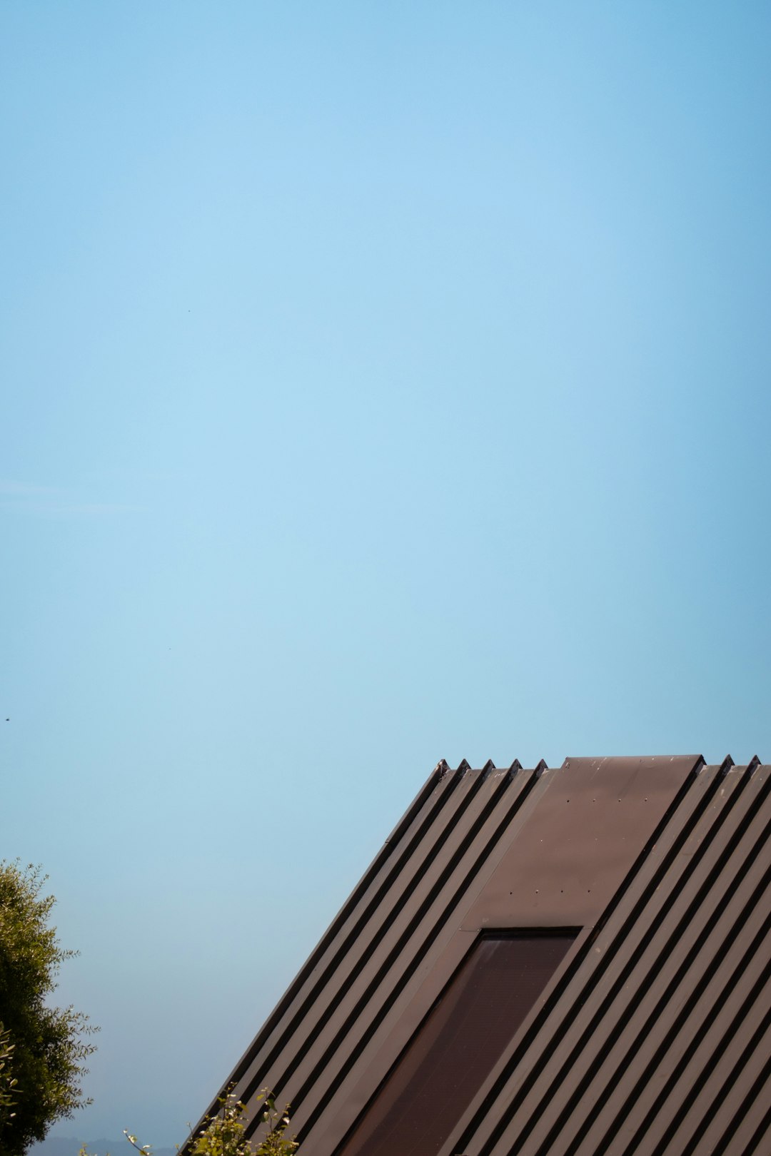 78922c00cf204482b60b7ff700e8bddc A bird flying over a roof with a blue sky in the background