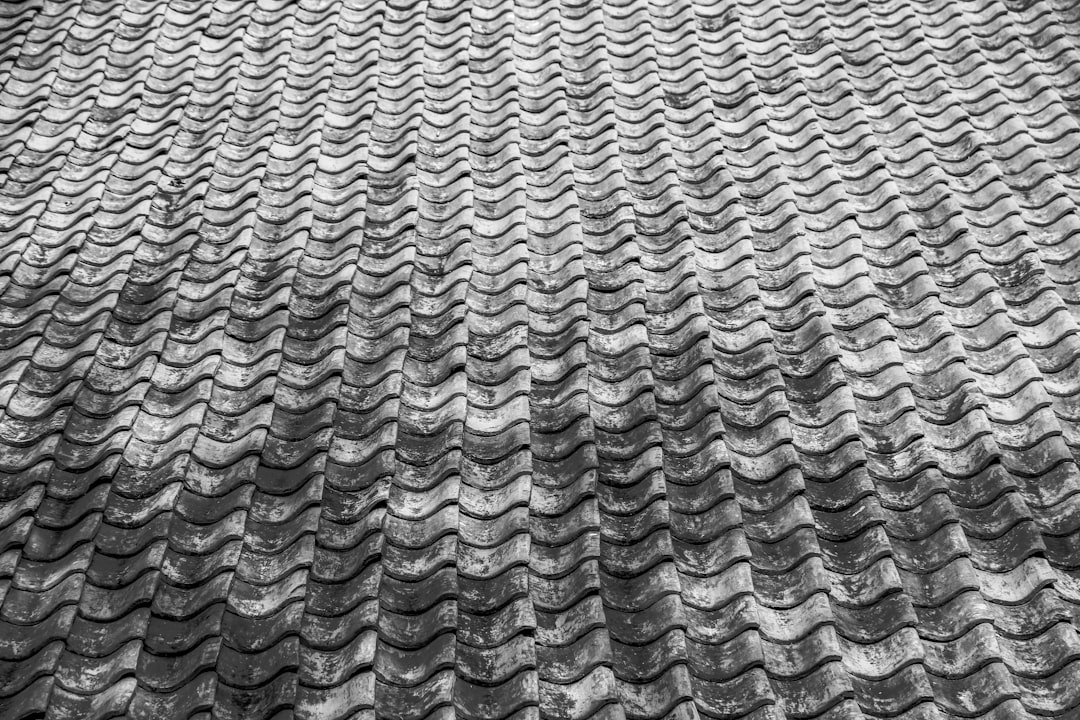 Close-up of weathered, wavy roof tiles in black and white.