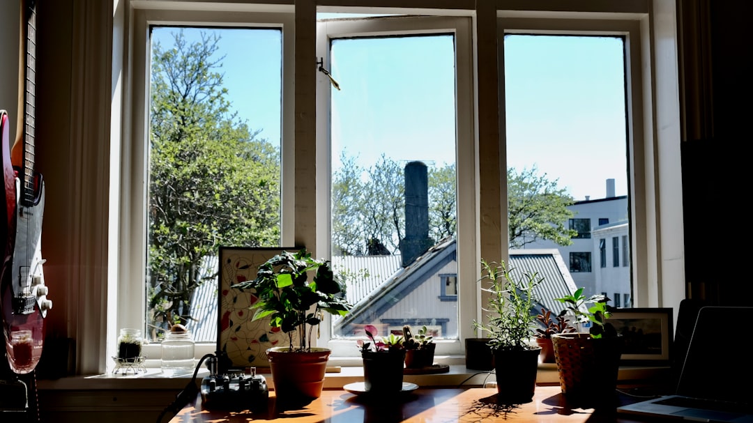potted plants on window during daytime