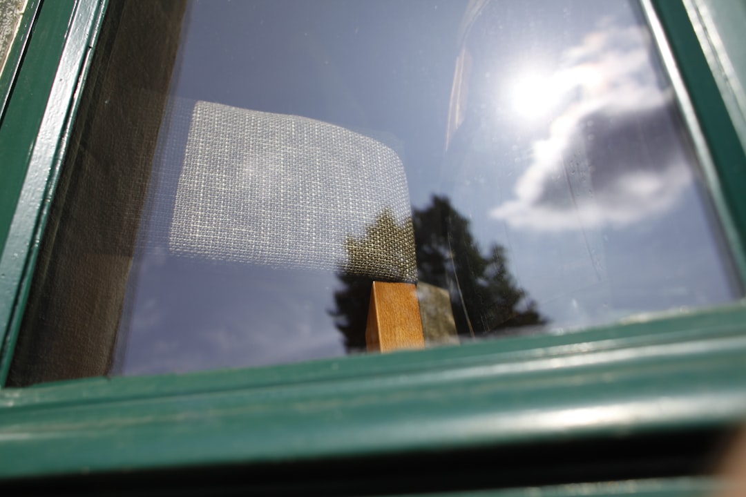 a green window with a reflection of trees in it