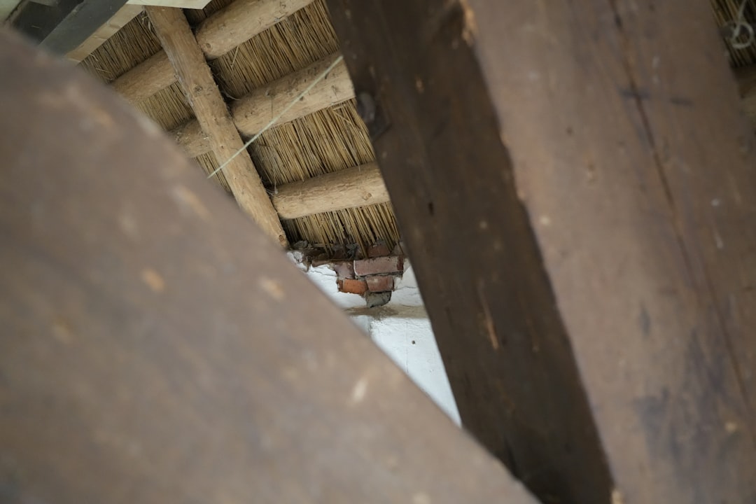 Large wooden beams support a traditional thatched roof.