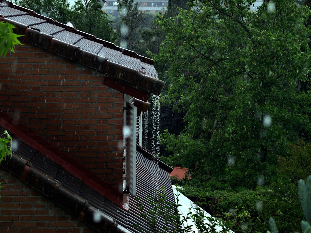 brown brick house near green trees during daytime