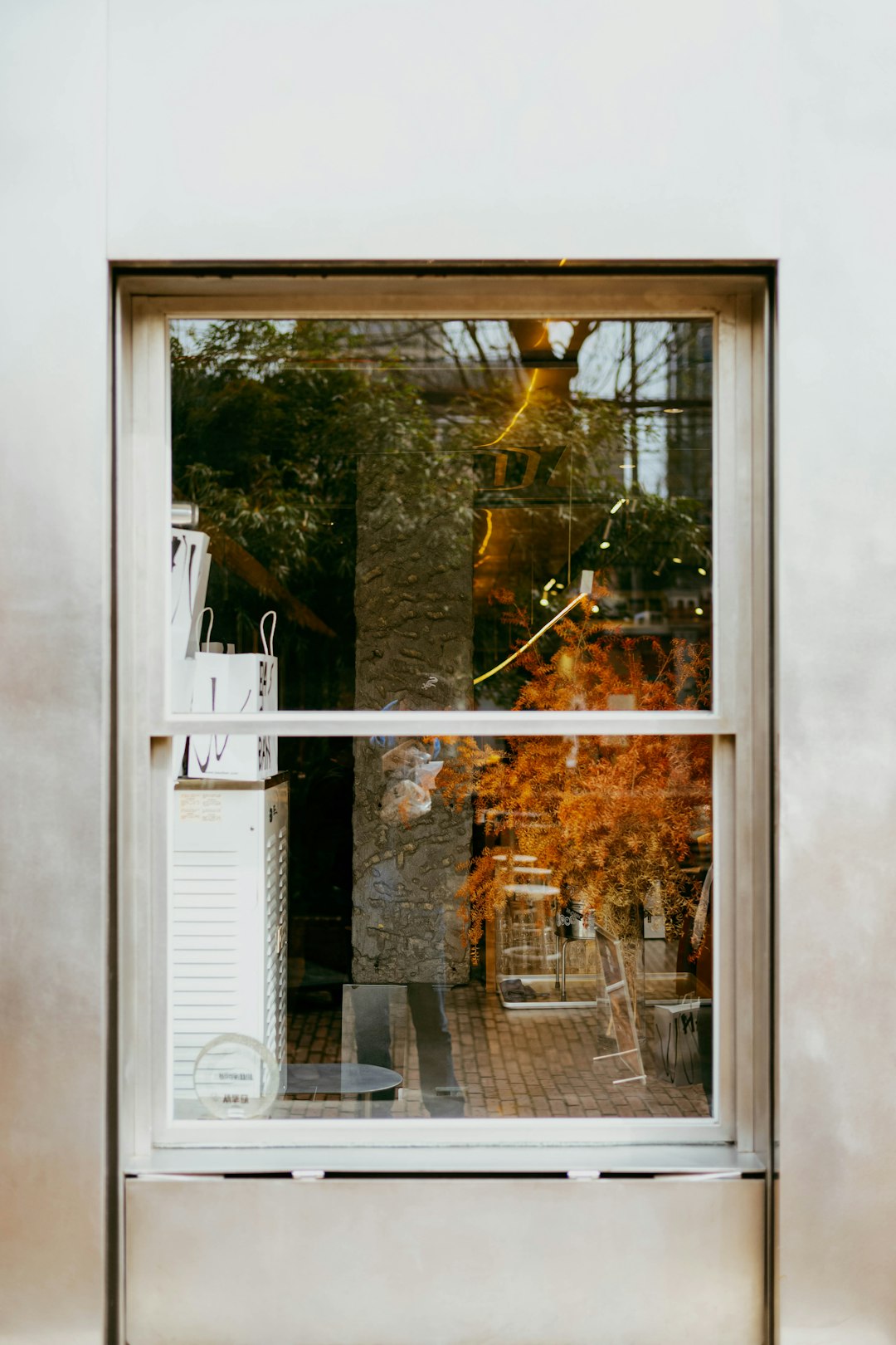 A window shows trees and indoor reflections.