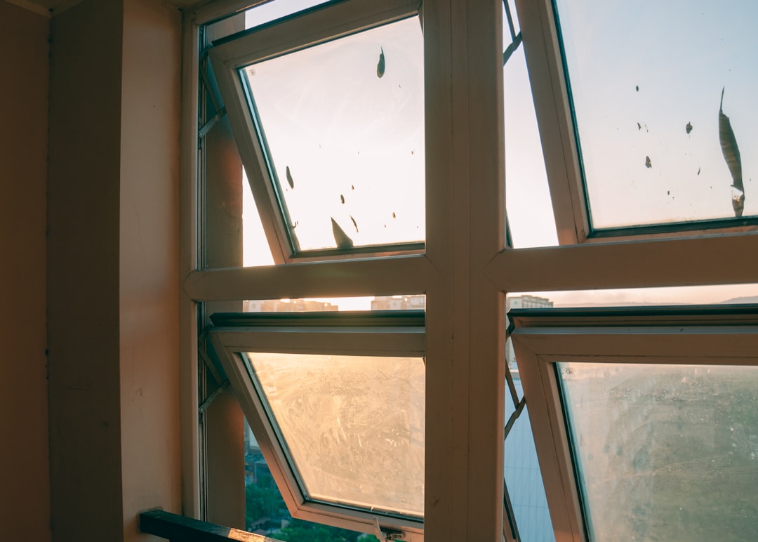 Close-up view of a window wall with multiple rectangular panes and a cityscape in the background