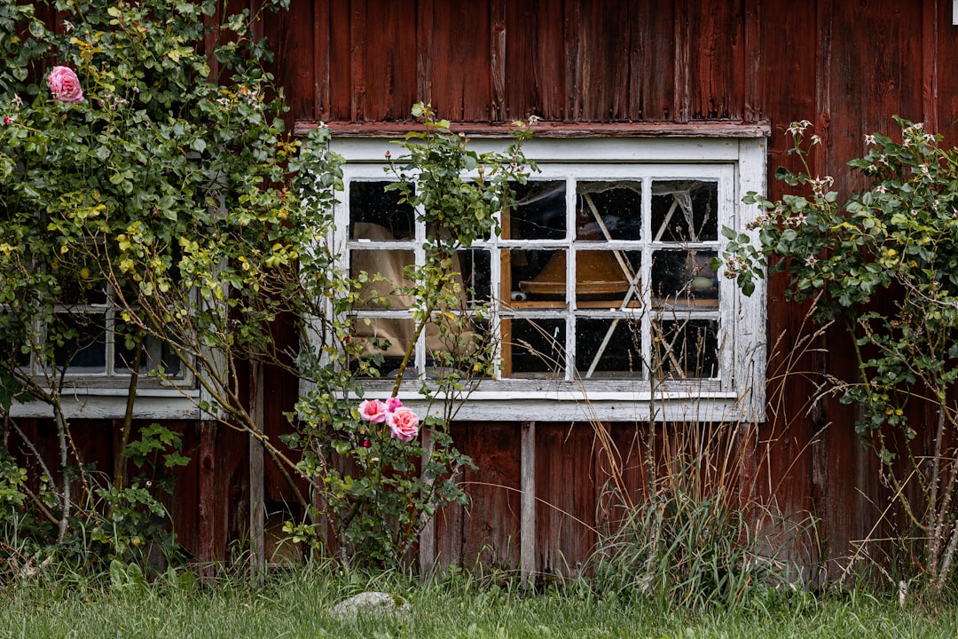 c6b75a6097da435a8238264d4faaabe0 a red barn with a broken window and flowers growing out of it
