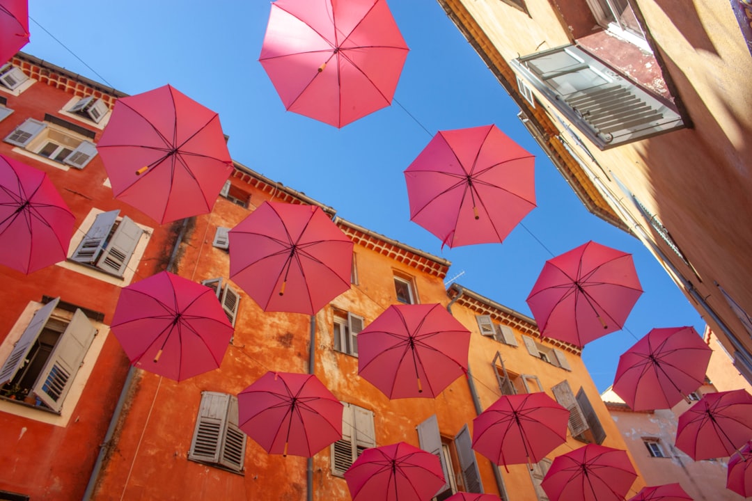 Pink umbrellas suspended above a street