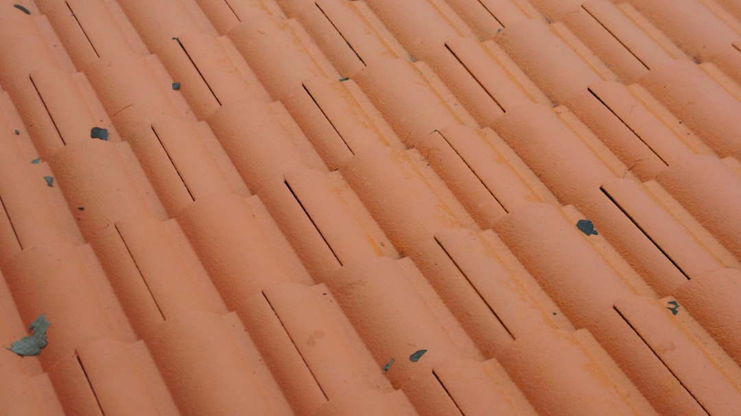 brown roof tiles in close up photography
