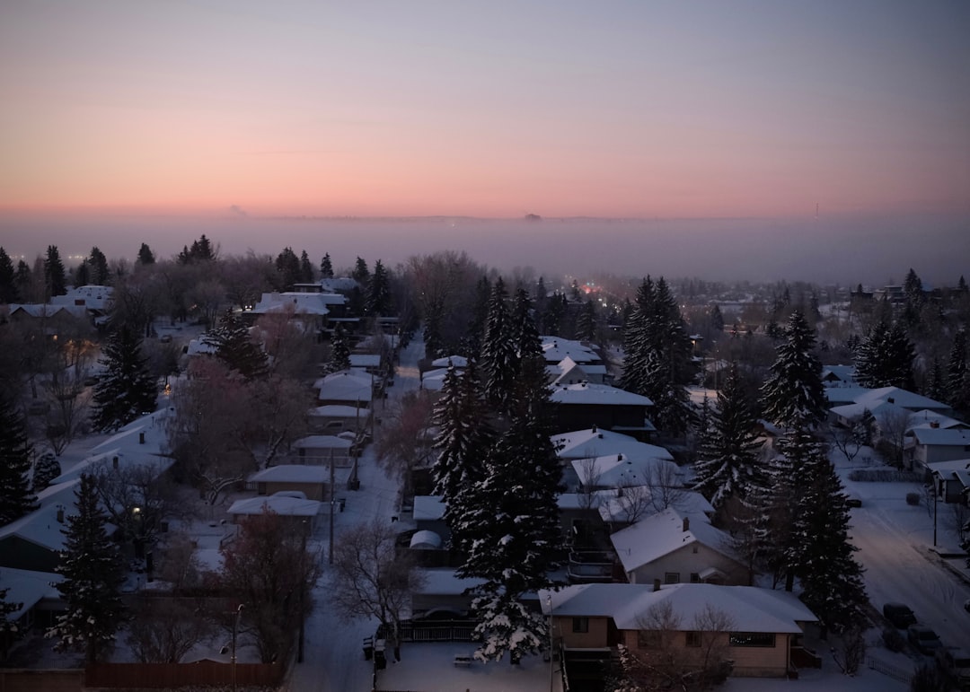 Snowy suburban neighborhood at dawn with pink sky