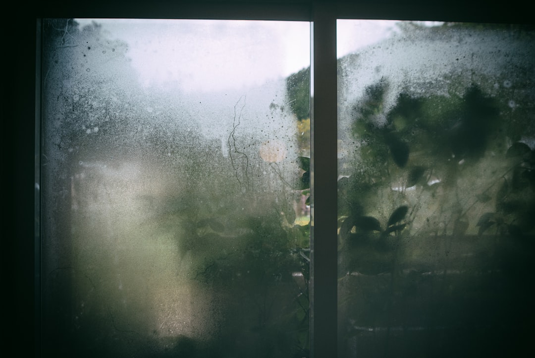 View through a foggy window of green foliage