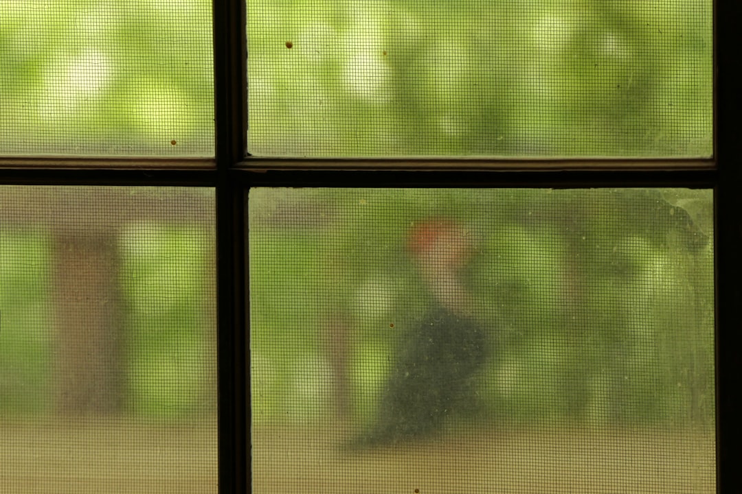 e59c333c70724432b4dd96504c990ca5 a bird sitting on a window sill in front of a tree