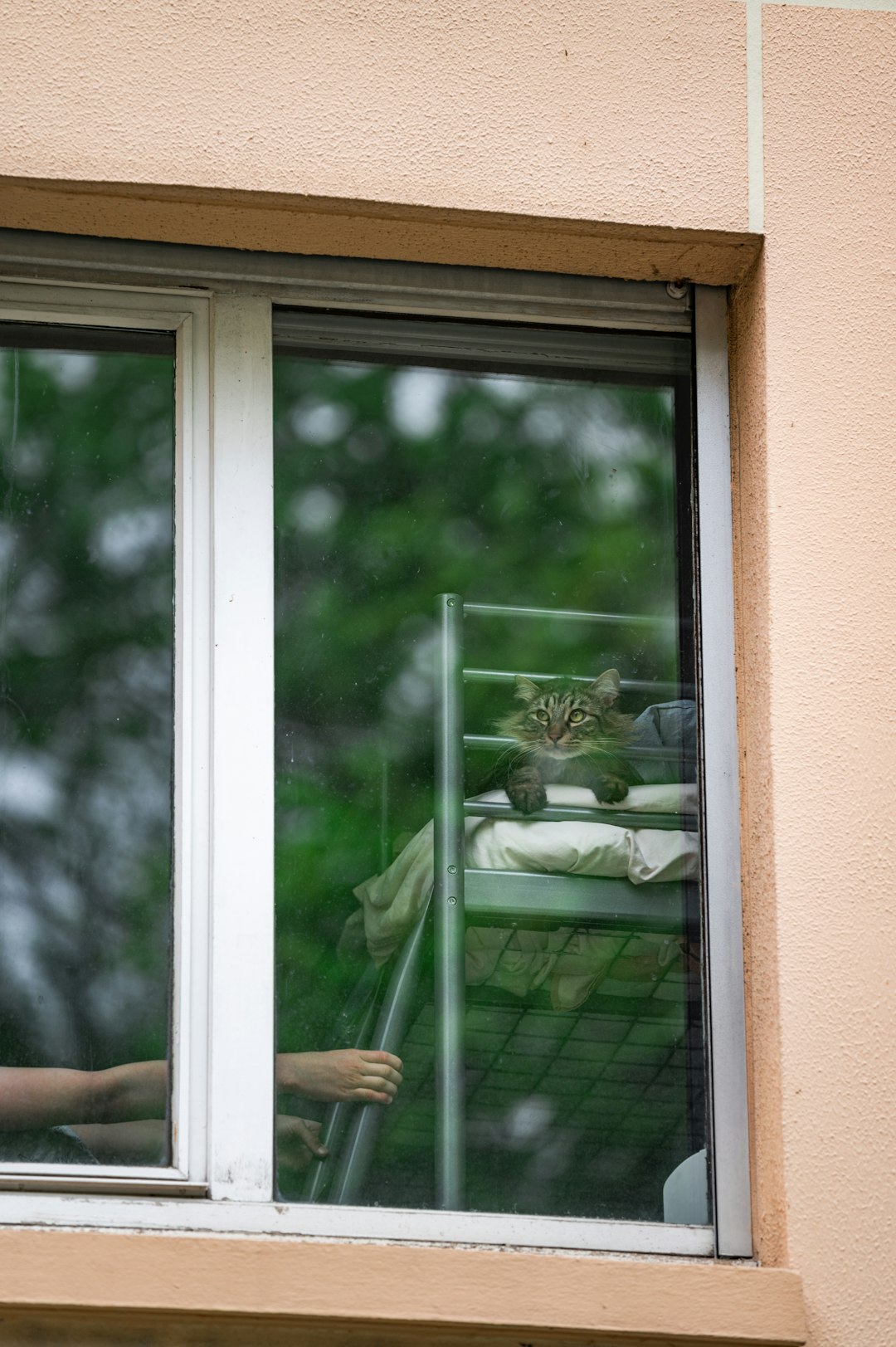 white wooden framed glass window