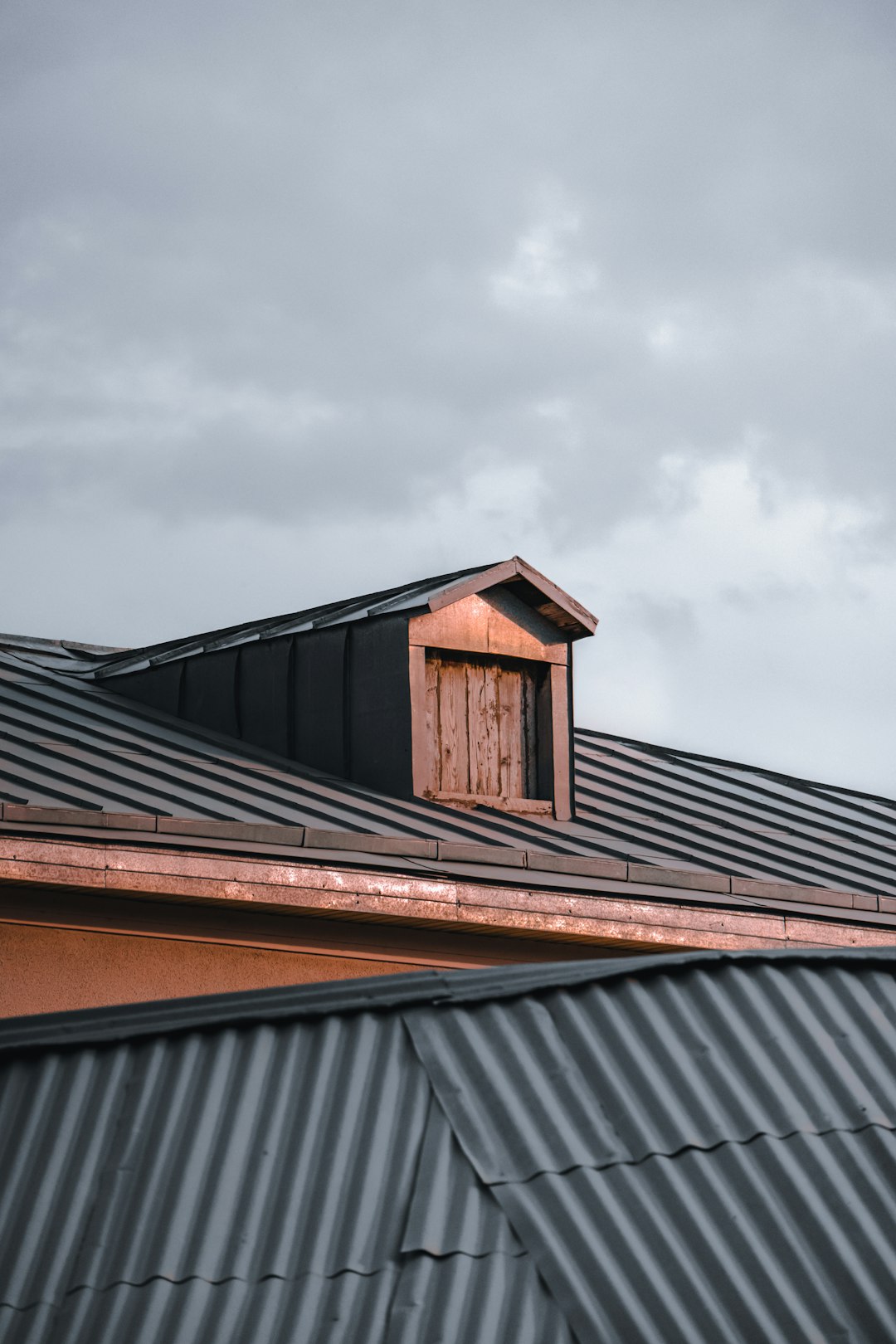 a roof with a small wooden door on it