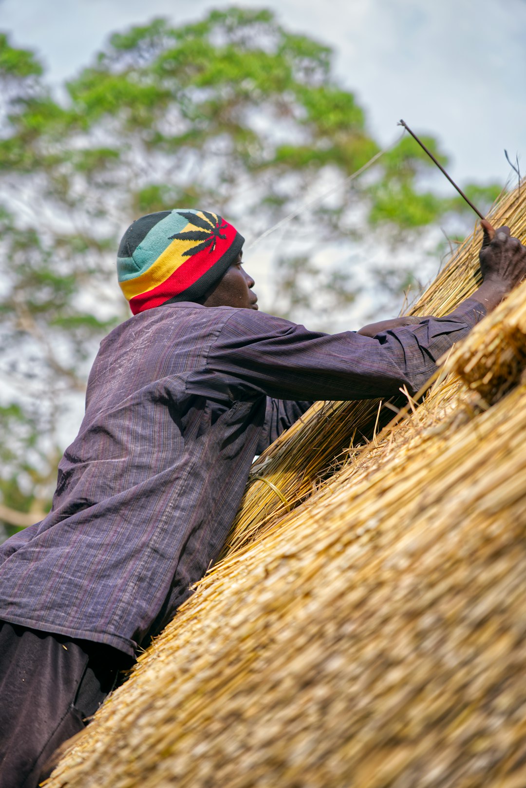 Man constructing a thatched roof with straw