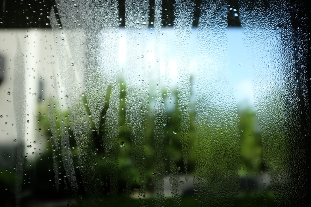 Water droplets on a window with blurred green plants.