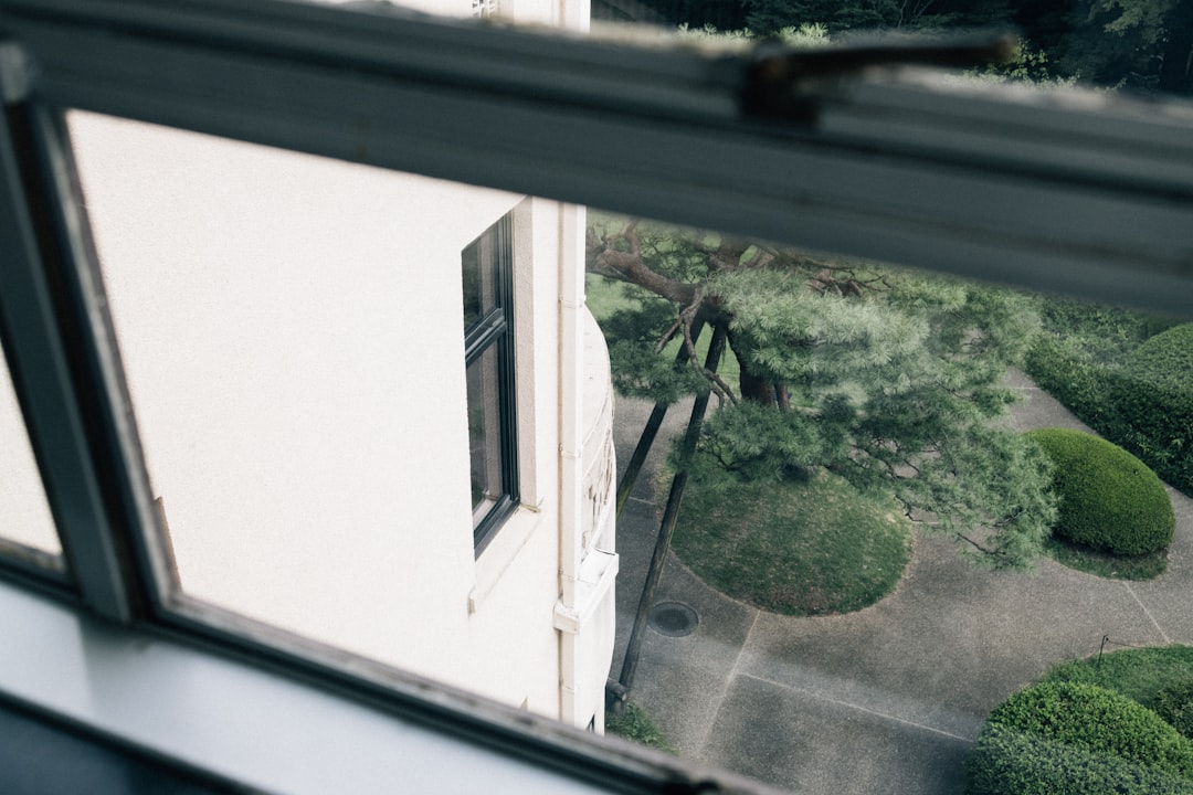 View through a window of a building and garden