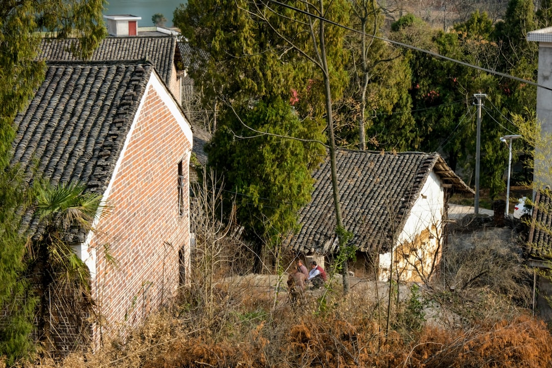 Rural village scene with traditional tiled roofs and trees