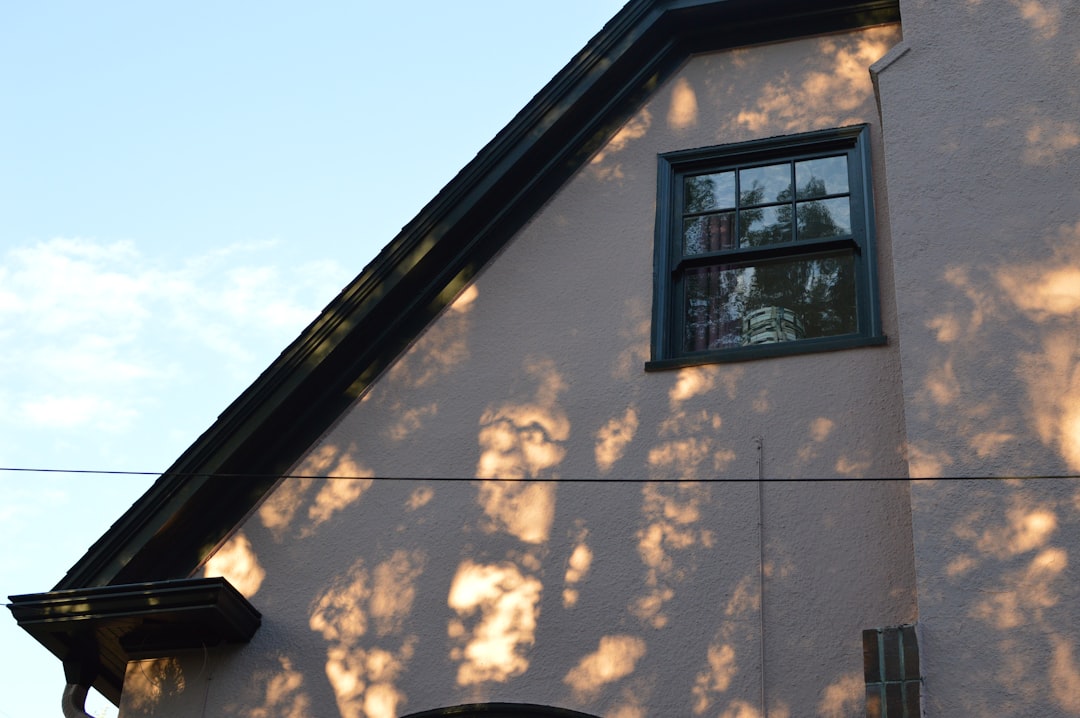 A building wall with a window and tree shadows