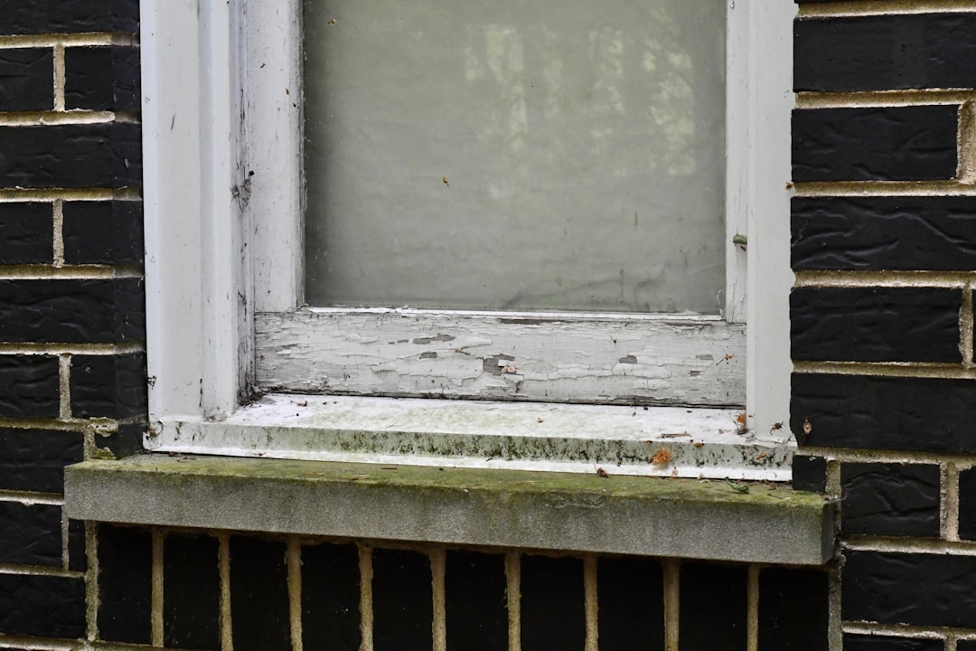 white wooden framed glass window