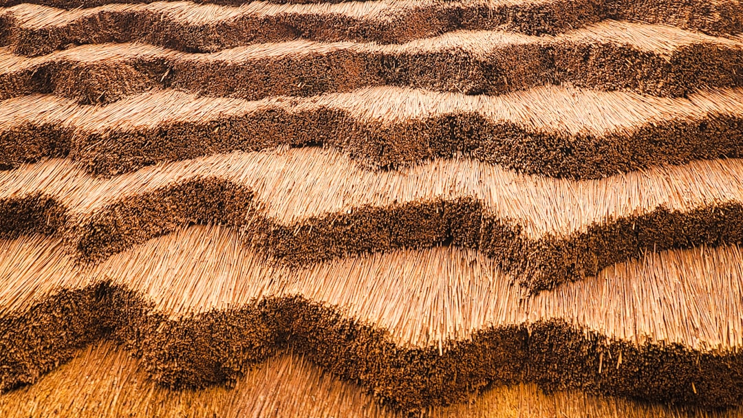 Close-up view of a thatched roof with wavy patterns