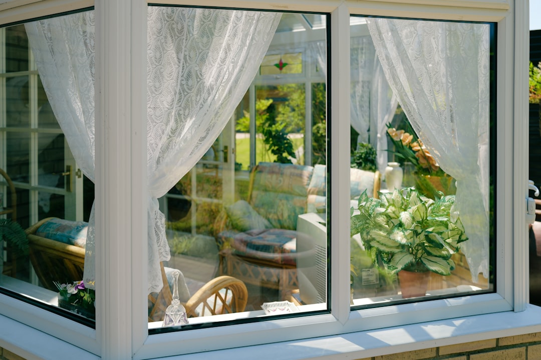 5247980160c44e928a1e7ad9614411de Sunlit room with plants seen through window