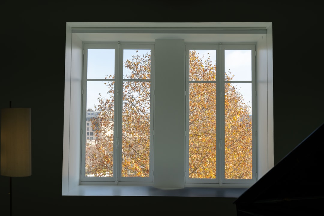 53965a00ef18494fb16ffd93f6ca6576 a window with a view of a tree outside